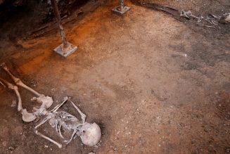 Encuentran al sur de España varios cráneos y mandíbulas humanas de más de 3.000 años de antigüedad (FOTO)