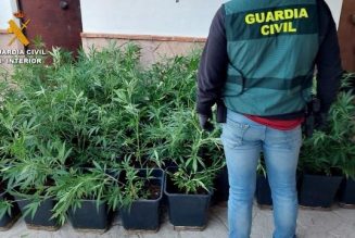 La Guardia Civil desmantela una importante organización polaca de narcotraficantes que operaba en Andalucía