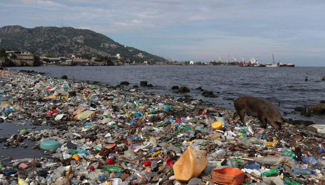 La WWF estima que el uso de productos plásticos cuesta al mundo cerca de 3,7 billones de dólares