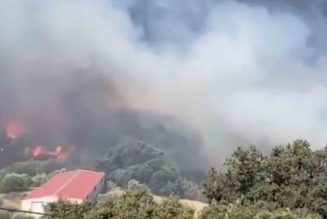 Declarado un incendio forestal en Coín