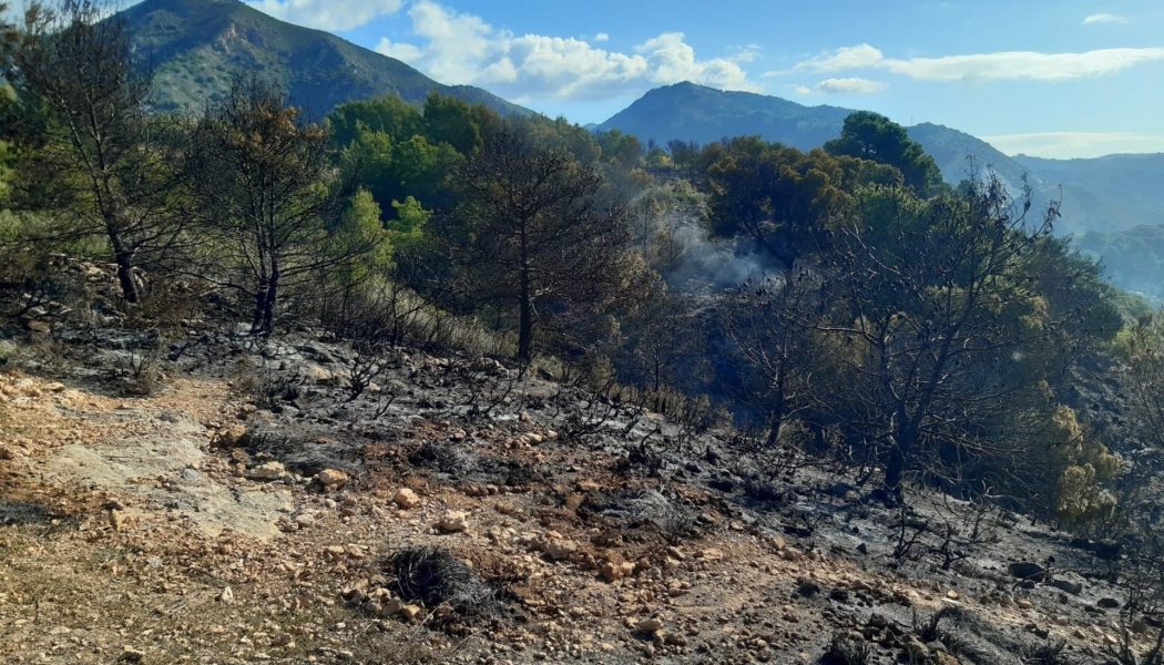 El incendio forestal en Nerja afecta a 2,6 hectáreas del Paraje Natural Maro-Cerro Gordo