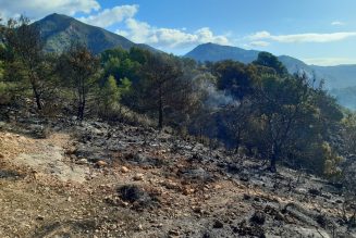 El incendio forestal en Nerja afecta a 2,6 hectáreas del Paraje Natural Maro-Cerro Gordo