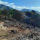 El incendio forestal en Nerja afecta a 2,6 hectáreas del Paraje Natural Maro-Cerro Gordo