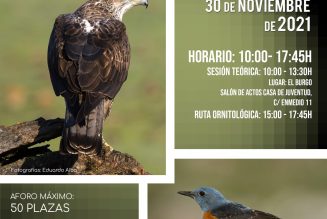 Taller ornitológico en el Parque Nacional Sierra de las Nieves