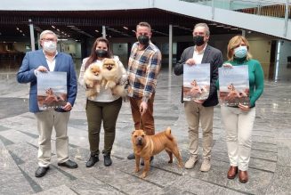 Torremolinos acogerá la feria internacional del perro este fin de semana