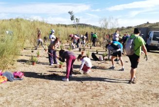 Finalizan las ‘arboladas’ de otoño en Málaga con más de 1.600 ejemplares plantados