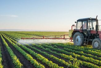 665.000 agricultores y ganaderos podrán solicitar desde mañana las ayudas de la PAC de 2022