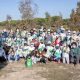 Ecovidrio y WWF plantan un centenar de árboles para repoblar el Espacio Natural de Doñana