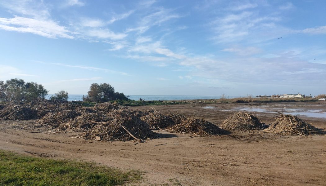 El PSOE pide al gobierno municipal más celeridad en los trabajos de adecuación de sus playas que son competencia municipal