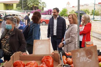 El PSOE propone la supresión de bolsas de plásticos en los mercadillos para convertirlos en zonas de contaminación cero