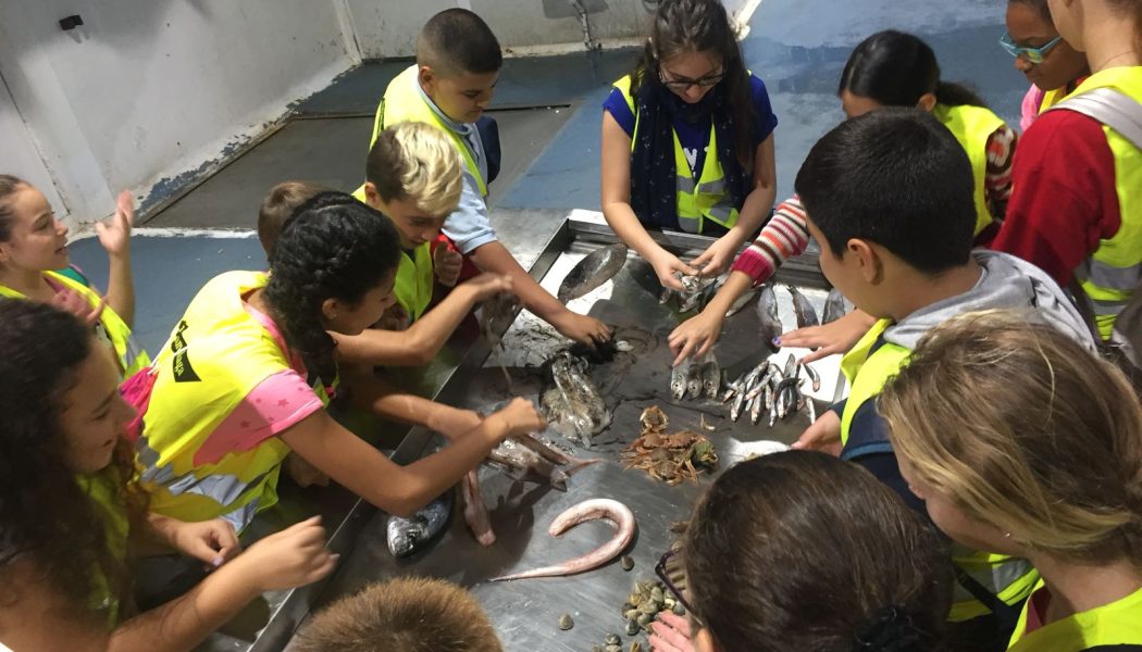 Mercamálaga retoma su programa de visitas escolares y jornadas en colegios para difundir hábitos saludables