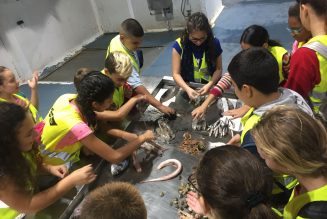 Mercamálaga retoma su programa de visitas escolares y jornadas en colegios para difundir hábitos saludables