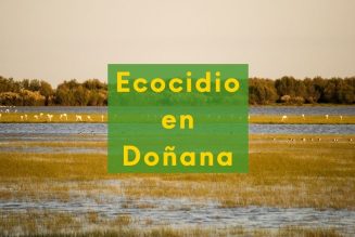 La Comisión Europea da la razón a Verdes EQUO y advierte contra el aumento de regadíos en Doñana