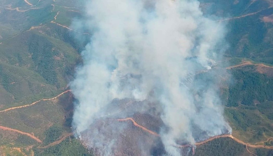 CSIF reconoce la labor de los efectivos que intervienen en el incendio de Pujerra