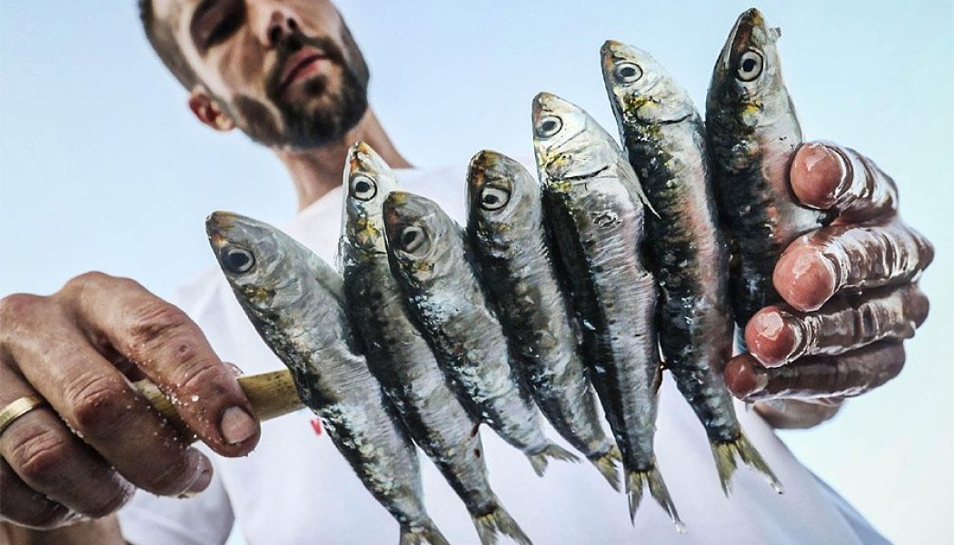 Abierto el plazo del concurso fotográfico de Sabor a Málaga ‘La moraga y el espeto de sardinas’