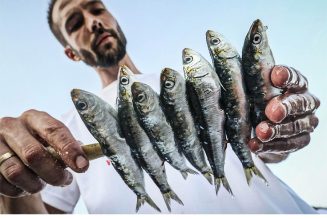 Abierto el plazo del concurso fotográfico de Sabor a Málaga ‘La moraga y el espeto de sardinas’