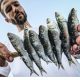 Abierto el plazo del concurso fotográfico de Sabor a Málaga ‘La moraga y el espeto de sardinas’