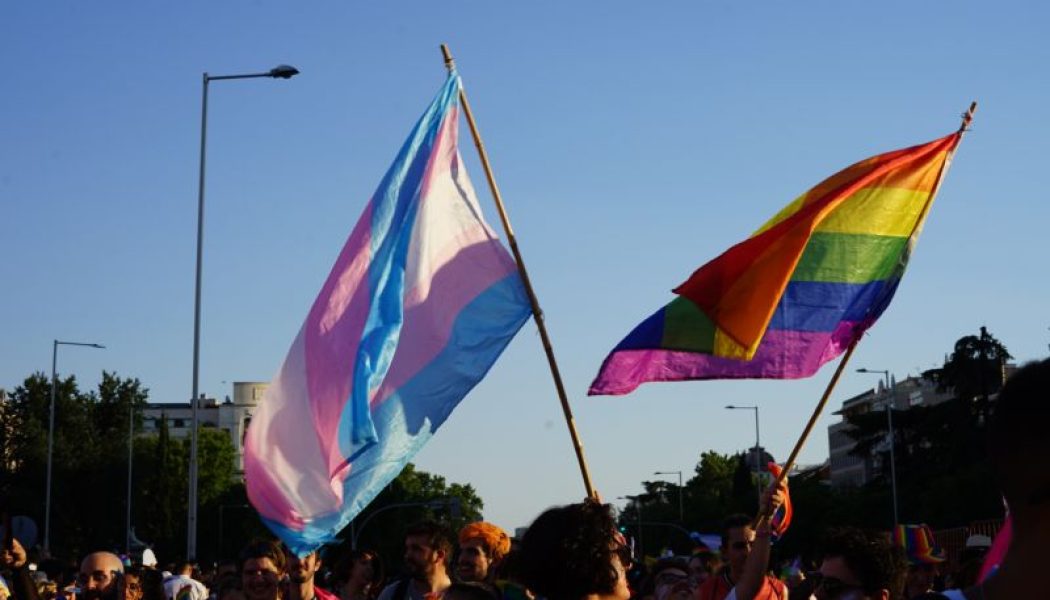 El manifiesto del Orgullo reivindica la aprobación y mejora de la ‘Ley trans’