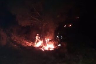 Controlado el incendio forestal declarado en Casares y extinguido el de Estepona