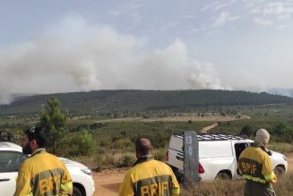 España registra ya el peor año de la década en incendios forestales