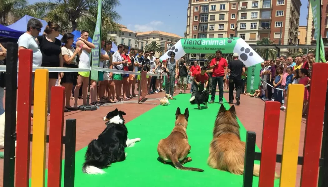 Vuelve Málaga Dog Party, la fiesta canina para fomentar la adopción de mascotas