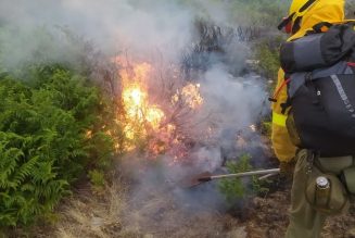 España vive el peor año de incendios forestales desde 1994