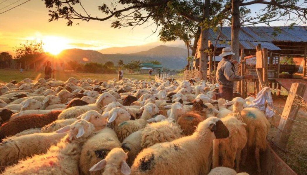 El Cermi reclama que el desarrollo rural sostenible sea también inclusivo