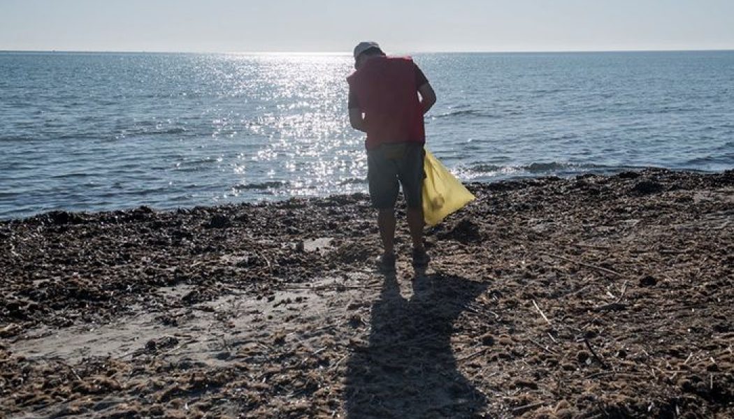 Miles de voluntarios recogerán basura de playas y mares