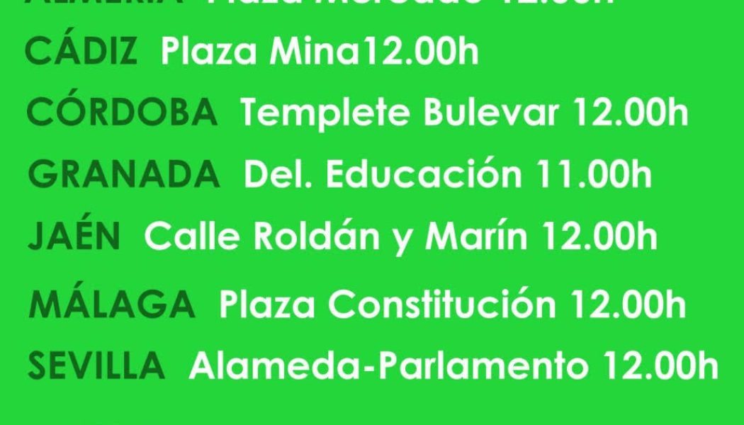 Jornada Andaluza de movilizaciones ‘En defensa de la Educación Pública, bajada de ratio ya’