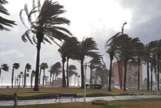 El viento provoca la caída de un árbol y deja dos heridos en Málaga