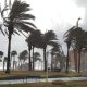 El viento provoca la caída de un árbol y deja dos heridos en Málaga