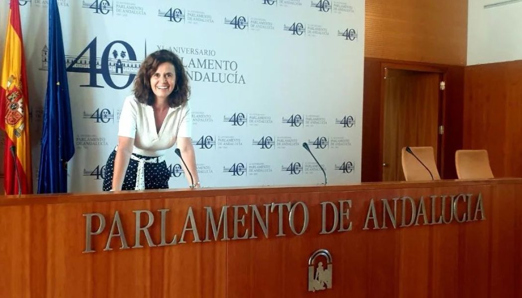 Más País Andalucía ultimará su propuesta para las municipales con unas jornadas sobre movilidad sostenible y la transición energética