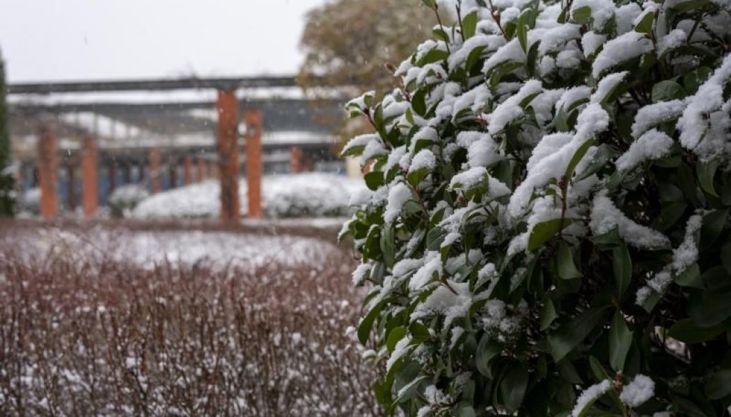 Primer episodio invernal ‘serio’, con nevadas y bajada de las temperaturas en la mitad norte