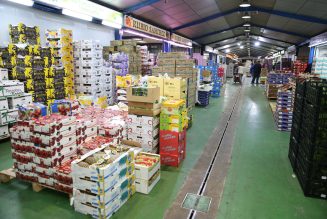 Mercamálaga invierte un millón de euros en mejoras de la Unidad Alimentaria