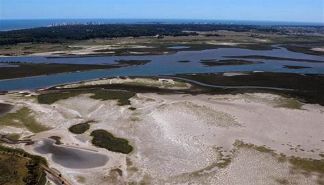 Verdes EQUO tacha de irresponsables y ecocidas a PP y VOX por la ampliación de regadíos en Doñana