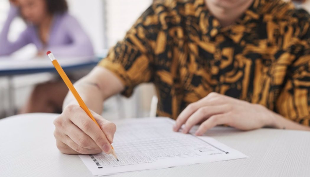 Amamantar durante más tiempo puede estar relacionado con mejores resultados en exámenes en edad adulta