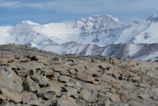 Hongos y algas de los líquenes de la Antártida mantienen sus interacciones pese al clima adverso