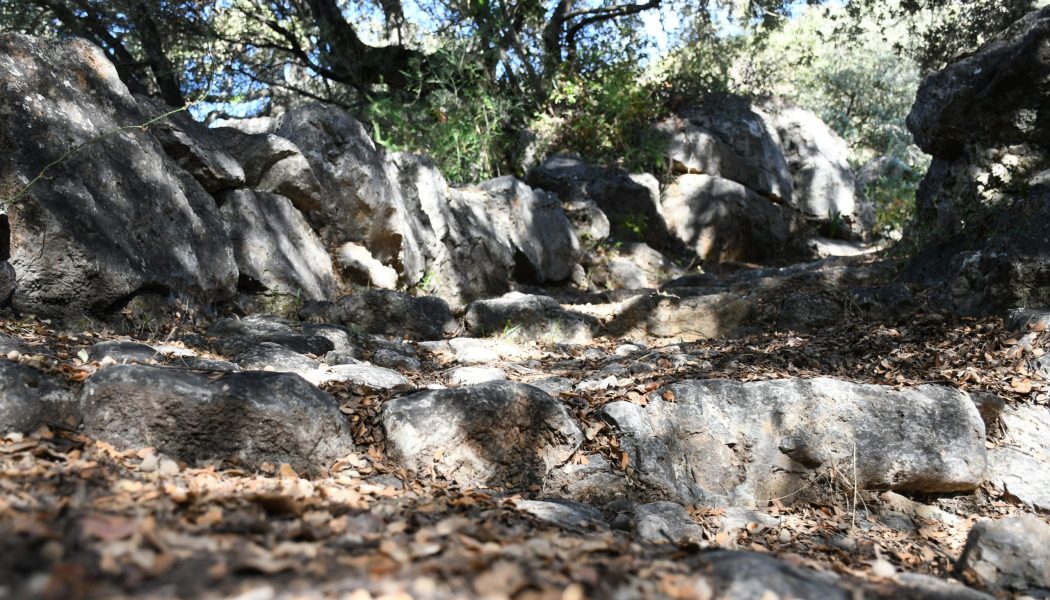 Sendero del Quejiguillo, una ruta singular en Alpandaire