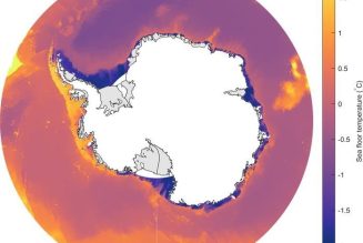 Casi la mitad de las plataformas de hielo de la Antártida han adelgazado en 25 años