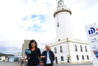 Paralizar la construcción del rascacielos en el Puerto