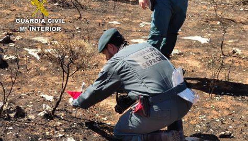 La campaña de alto riesgo concluye con 124 incendios forestales, 40 menos que en 2022