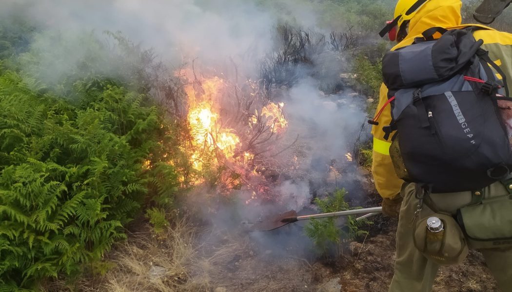 Descenso del 9,9% en la superficie forestal arrasada por incendios en España