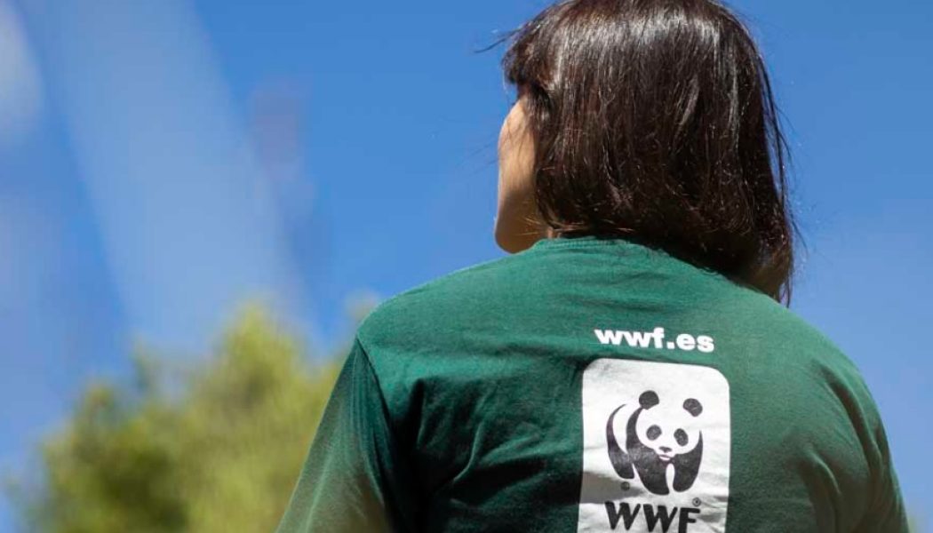 WWF señala «10 victorias para la naturaleza» en 2023