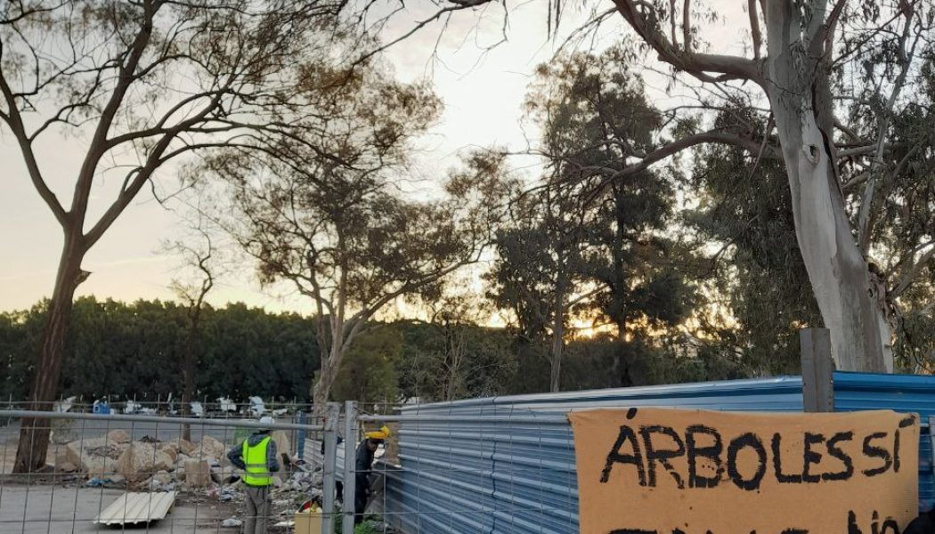 Ecologistas en Acción denuncia la tala de árboles en Martiricos