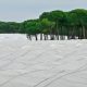 Junta de Andalucía modifica ley forestal con decreto-ley cuestionable, según WWF