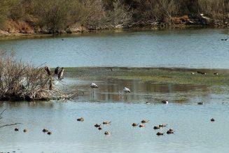 Declaración por el Día Mundial del Agua