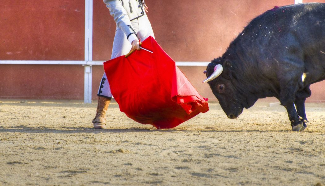 Ministerio de Cultura suprime Premio Nacional de Tauromaquia