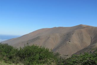 Desarrollan nuevas formas de recuperar bosques tropicales secos en los Andes