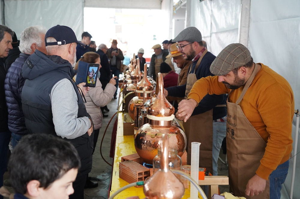 Jubrique disfrutó de su X Concurso del Aguardiente DSC07649