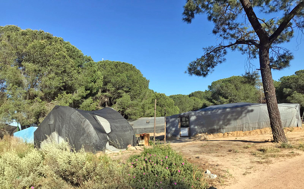 Grave informe denuncia condiciones de los temporeros VISITA LUCENA APDHA